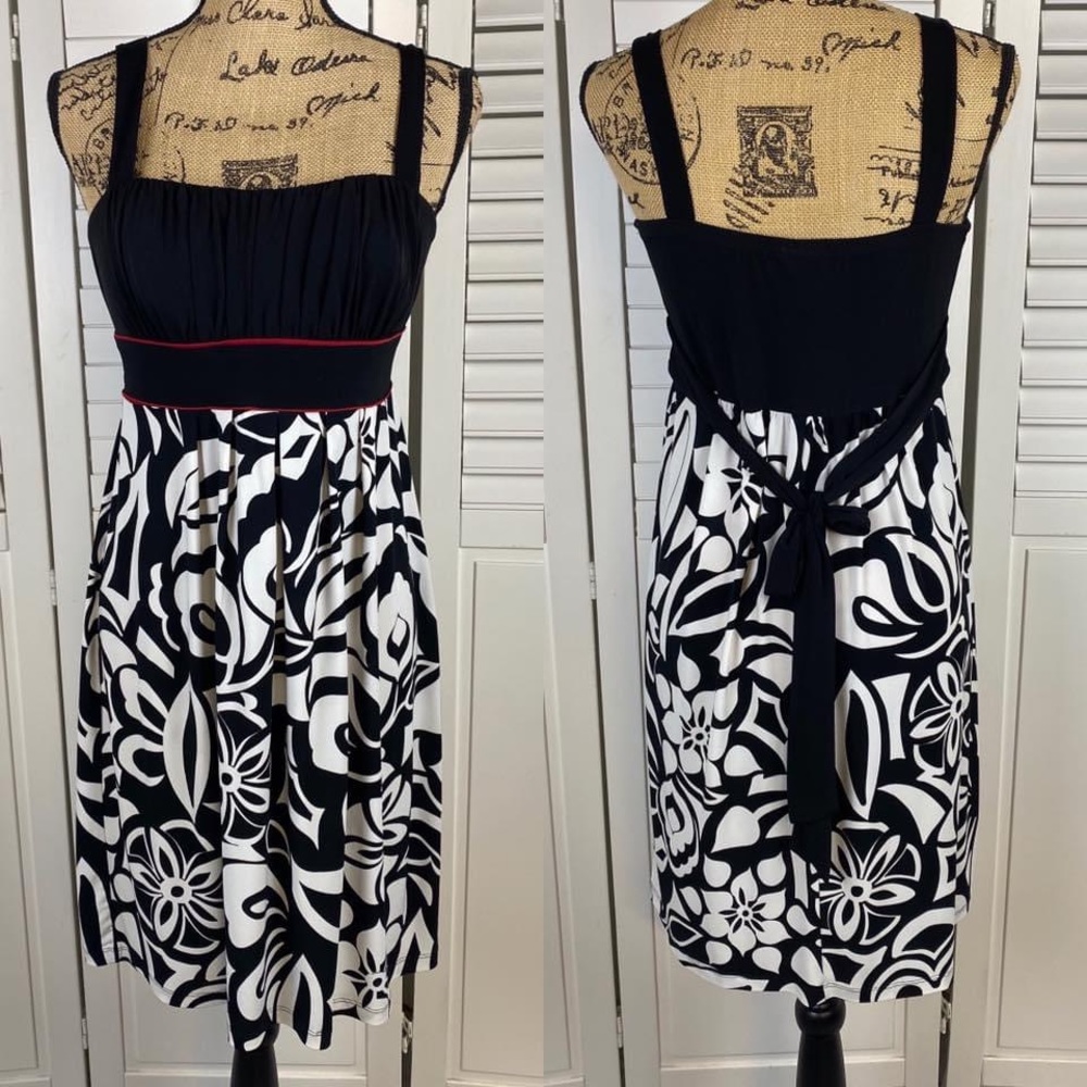 Enfocus Studio Summertime Dress